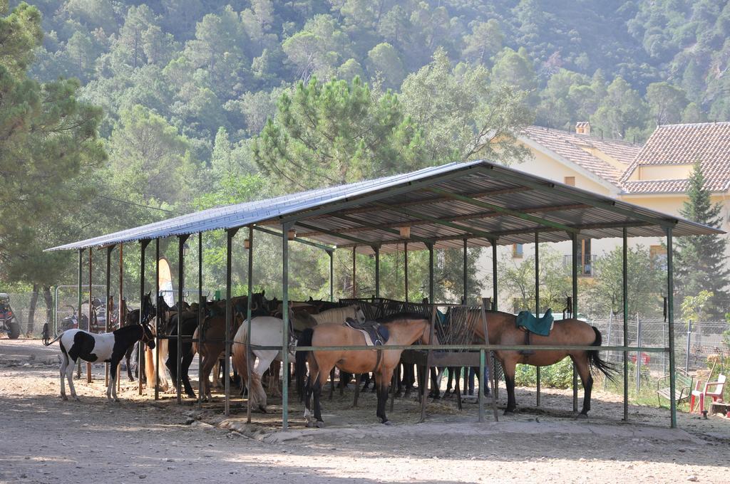ארויו פריו Alojamientos Rural Tejerina מראה חיצוני תמונה