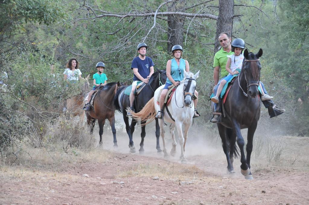 ארויו פריו Alojamientos Rural Tejerina מראה חיצוני תמונה