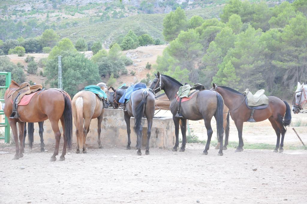 ארויו פריו Alojamientos Rural Tejerina מראה חיצוני תמונה